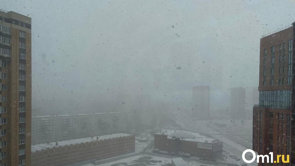 В Новосибирске на полмесяца задержится снегопад