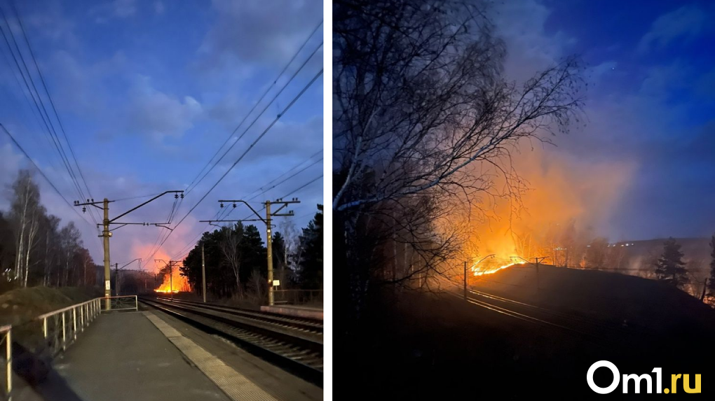 Огонь шёл с берега: в Новосибирске разгорелся пожар около станции «Береговая»