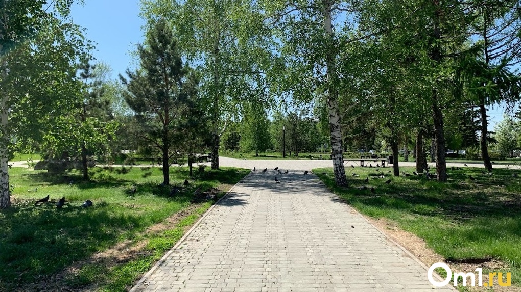 В Омске может появиться ещё один парк, как на «Зелёном острове»