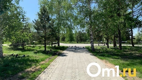 В Омске может появиться ещё один парк, как на «Зелёном острове»