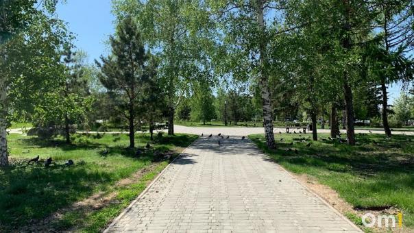 В Омске может появиться ещё один парк, как на «Зелёном острове»