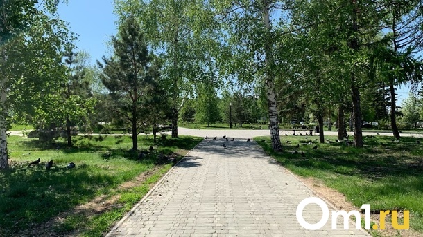 В Омске может появиться ещё один парк, как на «Зелёном острове»