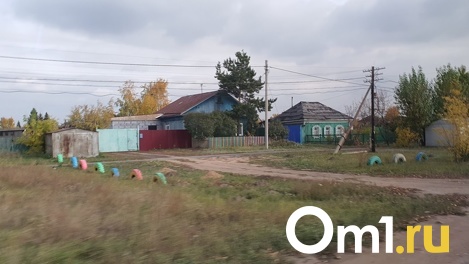 Омск получит два миллиарда рублей на перевод частных домов на альтернативные виды топлива