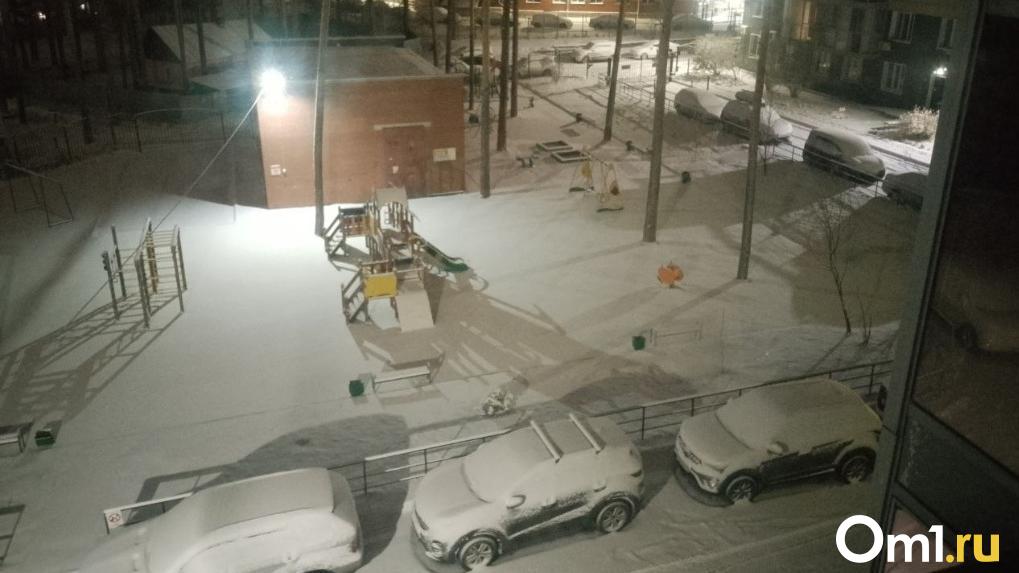Ночью 2 ноября Новосибирск засыпало снегом