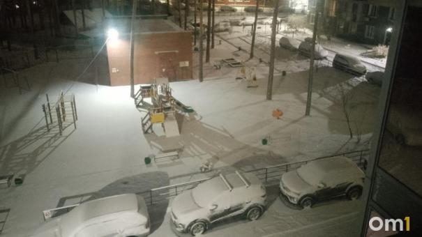 Ночью 2 ноября Новосибирск засыпало снегом