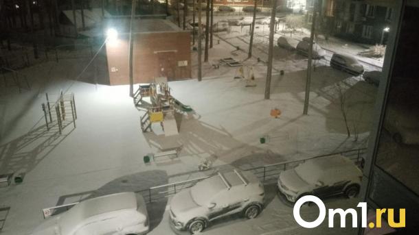 Ночью 2 ноября Новосибирск засыпало снегом