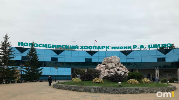 Мобилизованные смогут бесплатно посмотреть на животных в Новосибирском зоопарке