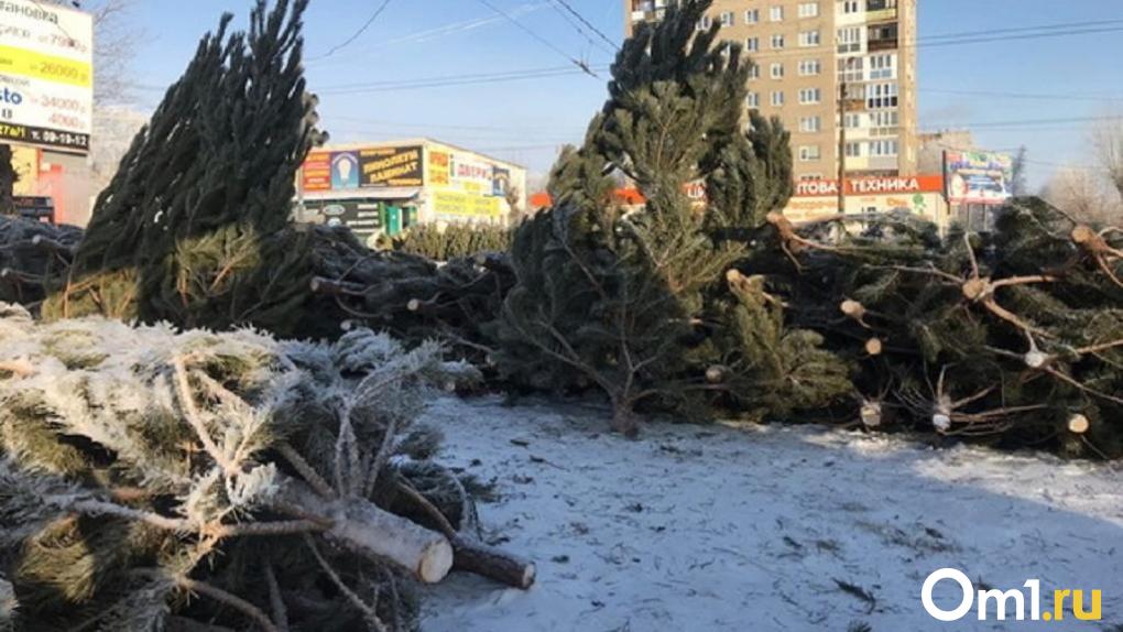 Омичам рассказали, куда сдавать живые ёлки на переработку