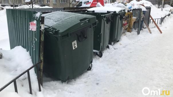 Проект четырёх мусорных полигонов опубликовало правительство Новосибирской области