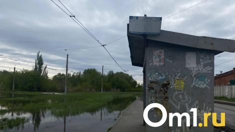 Прокуратура через суд заставит чиновников привести в порядок ливнёвки в Омске
