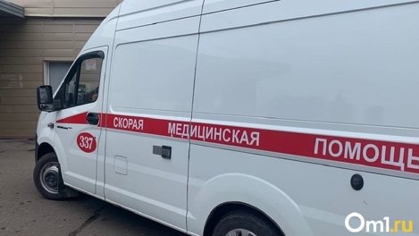 В Омской области мужчина избил соседа поленом