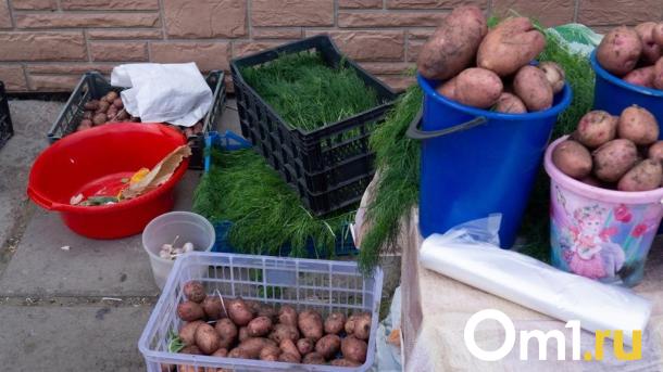 В омских детских садах обнаружили овощи с опасным уровнем нитратов