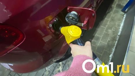 На севере Омска может появиться новая заправка