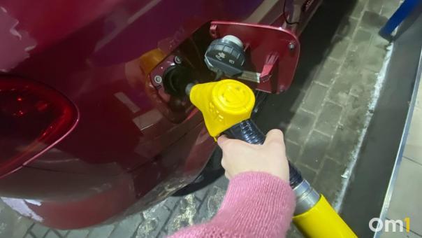 На севере Омска может появиться новая заправка