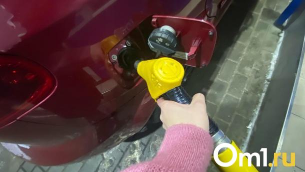 На севере Омска может появиться новая заправка