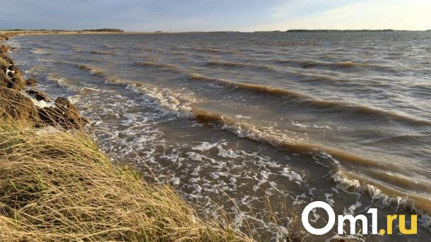 В Омской области за день утонули два ребёнка и молодой человек