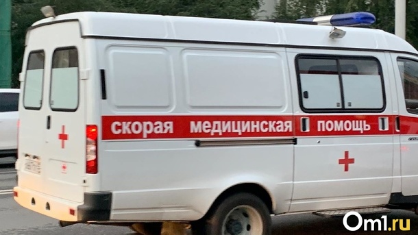 Пенсионер сбил в Омске маленькую девочку на пешеходном переходе