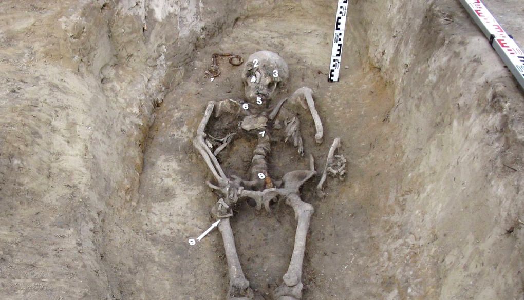 Под омским курганом нашли скелет воина XI — XII вв.