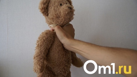 Схватил и начал душить: житель Бердска получил 13 лет колонии за попытку убить 4-летнюю девочку