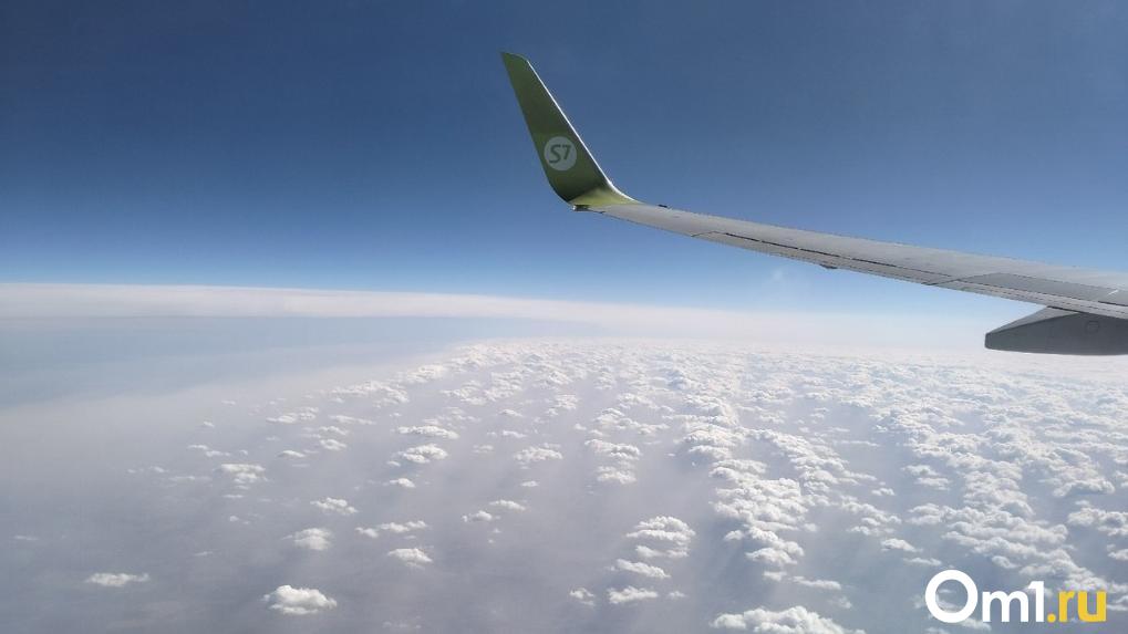 Авиакомпания S7 сделает бесплатные перелёты для пострадавших в «Крокусе»