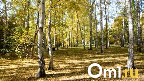 Омичей ждут последние тёплые выходные в этом году