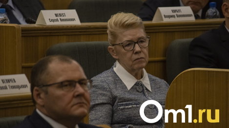 Елена Мизулина больше не будет сенатором Омской области
