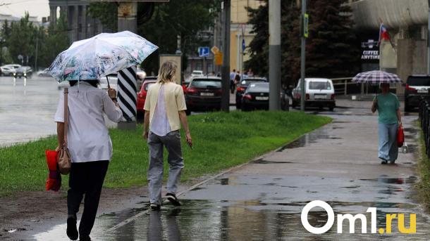 Ещё ливни. Синоптики спрогнозировали ухудшение погоды в Омской области