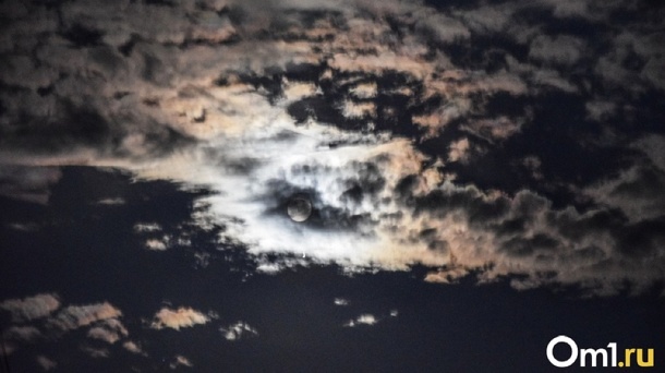 Риски пожаров! Штормовой ветер обрушится на Новосибирскую область 7 и 8 сентября