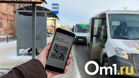 Транспортный коллапс близко? Омские перевозчики терпят критические убытки из-за COVID-19