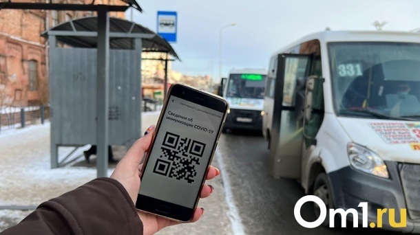Транспортный коллапс близко? Омские перевозчики терпят критические убытки из-за COVID-19