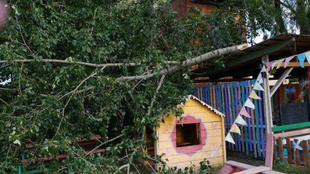 В Омской области дерево упало прямо на игровую площадку детского сада