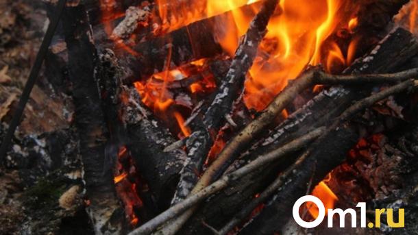 Пожарные предотвратили распространение огня у Хилокского полигона под Новосибирском