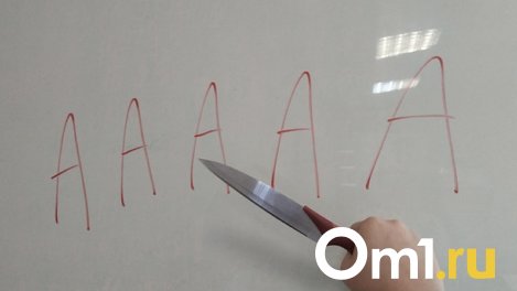 В Новосибирске 56-летняя женщина заколола ножом знакомого