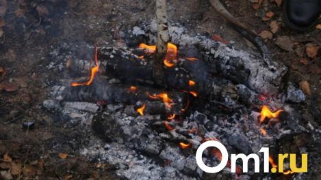 Вспыхнули мусоровозы: зола стала причиной пожаров в Новосибирской области