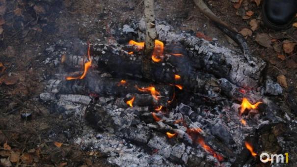 Вспыхнули мусоровозы: зола стала причиной пожаров в Новосибирской области
