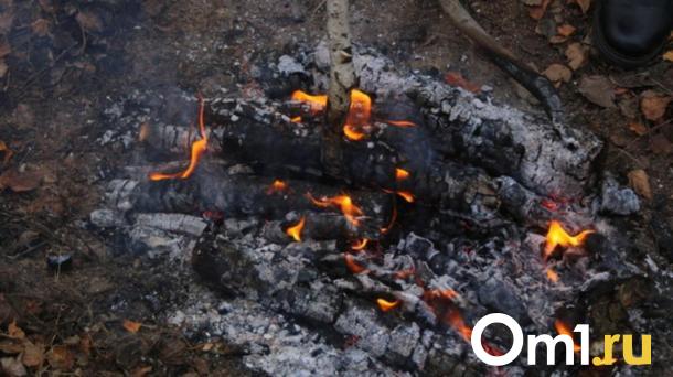 Вспыхнули мусоровозы: зола стала причиной пожаров в Новосибирской области