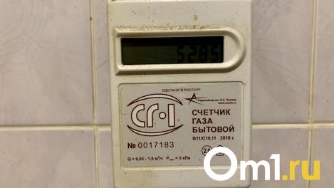 Антимонопольщиков возмутила цена опломбировки счётчиков