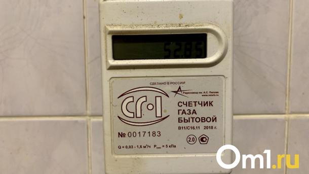 Антимонопольщиков возмутила цена опломбировки счётчиков