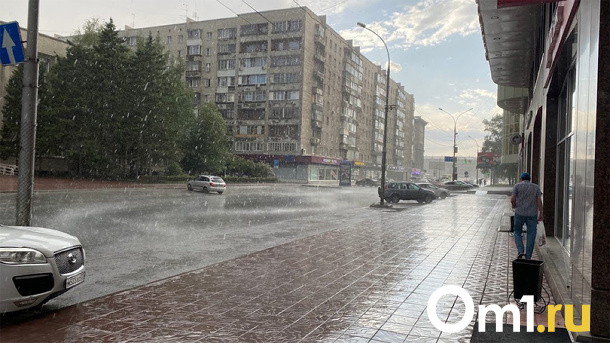 Ливневые дожди и ветер обрушатся на Новосибирск в ближайшую неделю