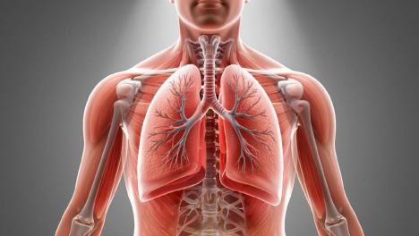 Новосибирские студенты создали прибор, который спасёт тысячи жизней