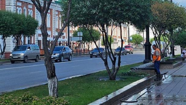 В центре Омска меняют засохшие ивы на новые