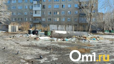 Омичка пожаловалась на замусоренный школьный двор в Нефтяниках