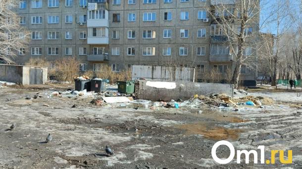 Омичка пожаловалась на замусоренный школьный двор в Нефтяниках