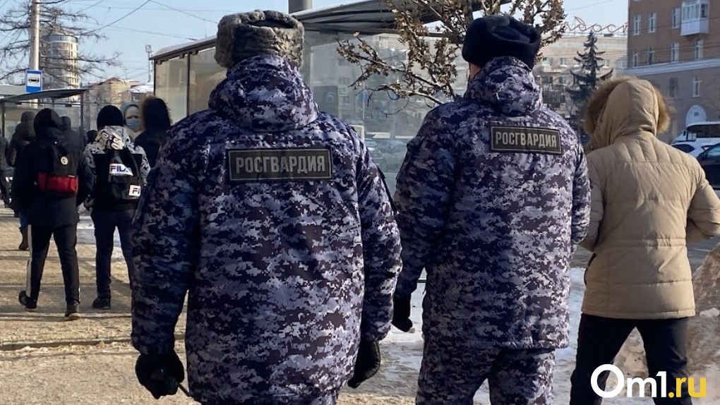 В Омске задержали нетрезвого водителя, который ломился в здание