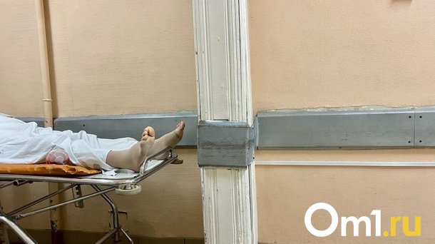 В Омске на улице Степанца в квартире сгнил труп