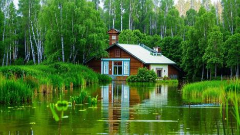 Дачи массово ушли под воду в Новосибирской области