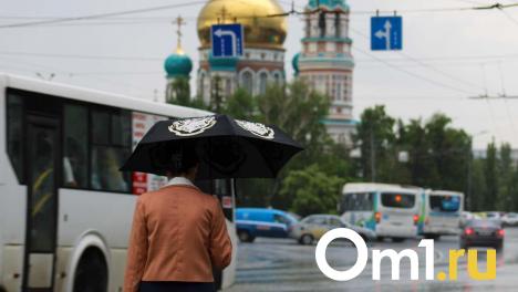 Омскую область накроет серия затяжных дождей и гроз: как долго они продлятся?
