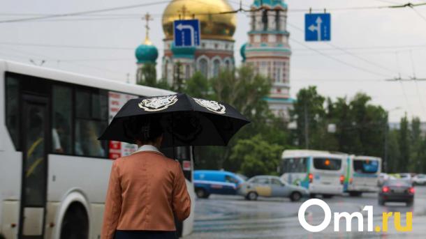 Омскую область накроет серия затяжных дождей и гроз: как долго они продлятся?