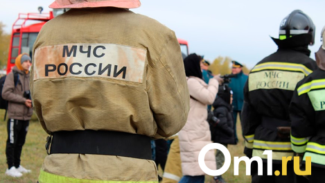 Сгорел ночью: слепой 82-летний пенсионер погиб в страшном пожаре в Новосибирской области