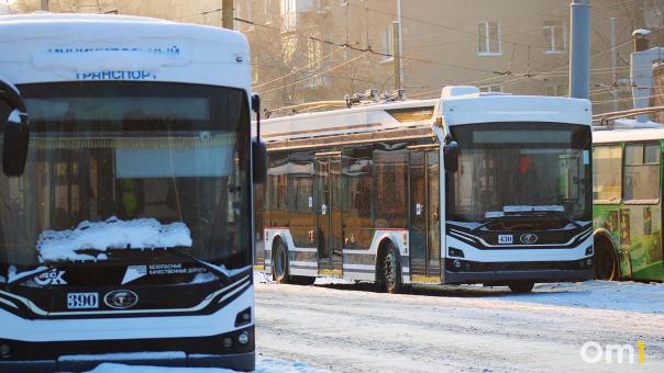 Омская мэрия не будет запускать экспрессы на Левый берег